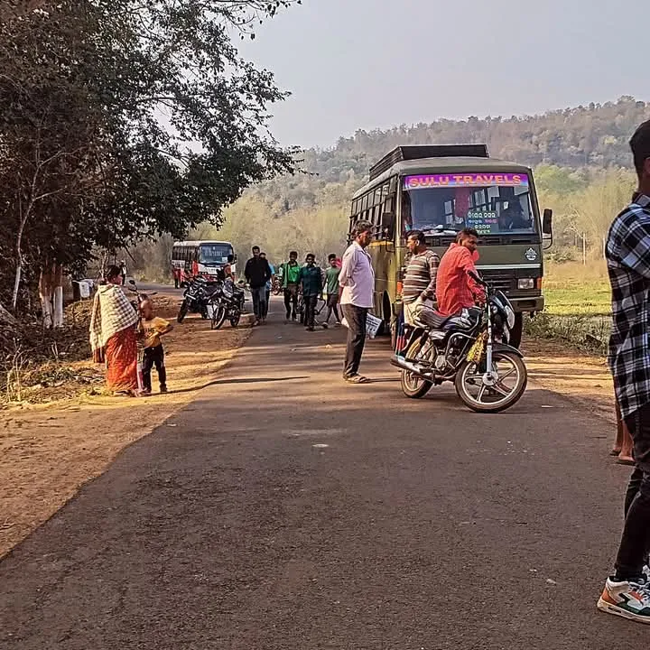  Youth killed in elephant attack in Odisha's Angul; locals block road