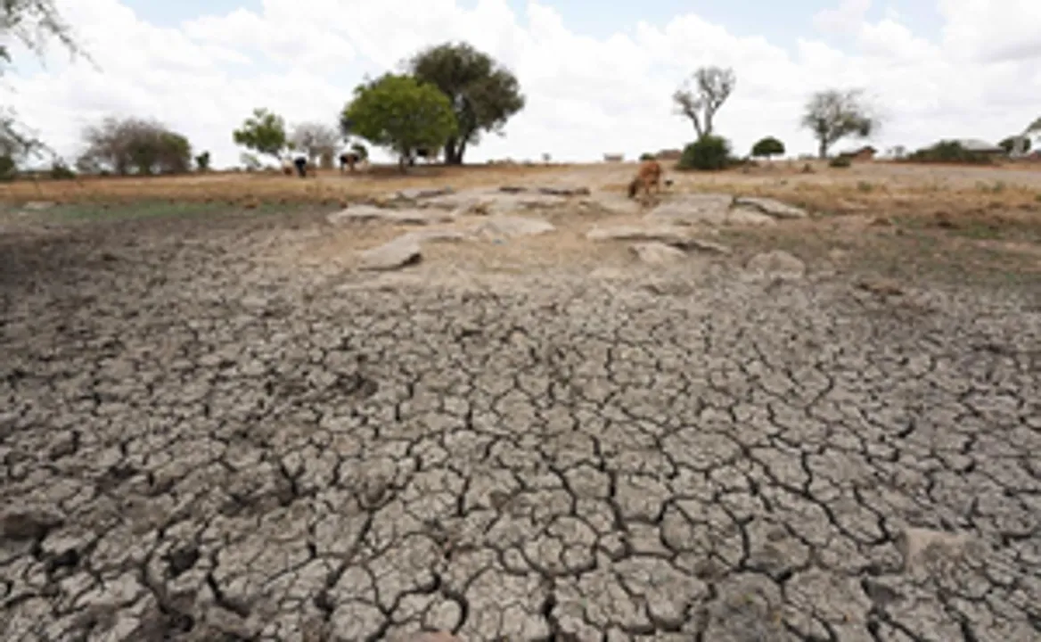  Kenya battles wildfires in major wildlife parks amid severe drought