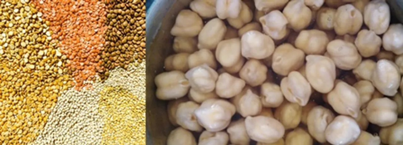  Chickpeas, lentils nutritious than oats, wheat: Study