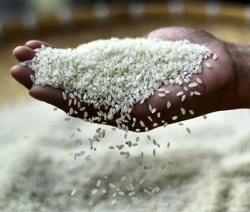  22,293 ineligible ration cards cancelled in Odisha