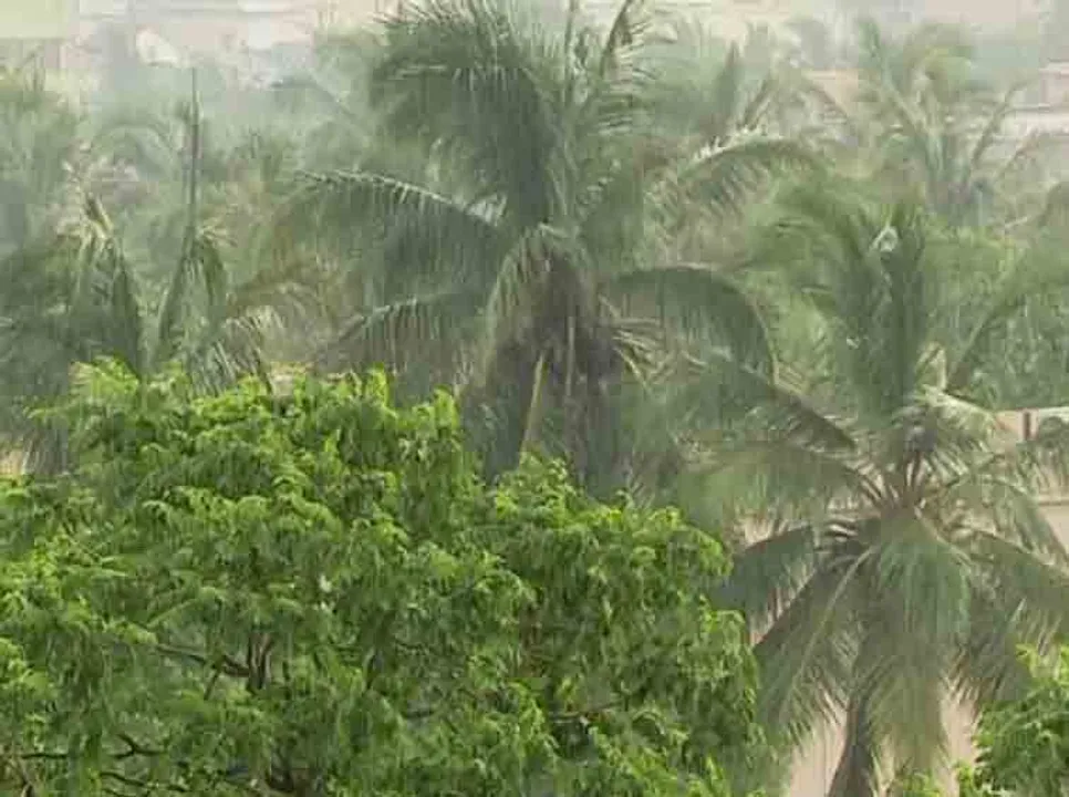  Heavy rainfall likely in Odisha