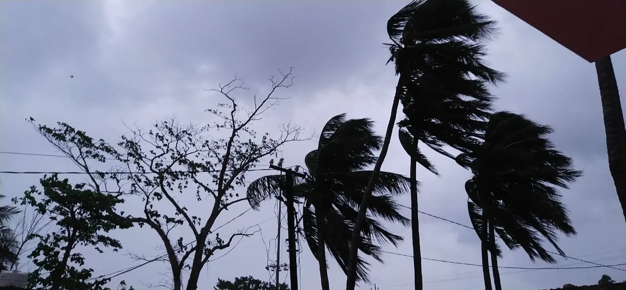  Climate change is raising cyclonic storm risks in Odisha