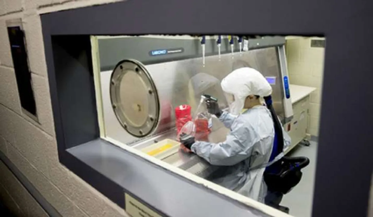  China forced probe into origin of Covid-19 to drop lab-leak theory: WHO