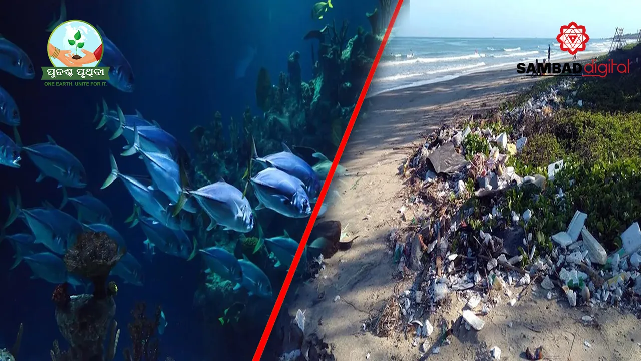  How micro plastic particles are polluting soil