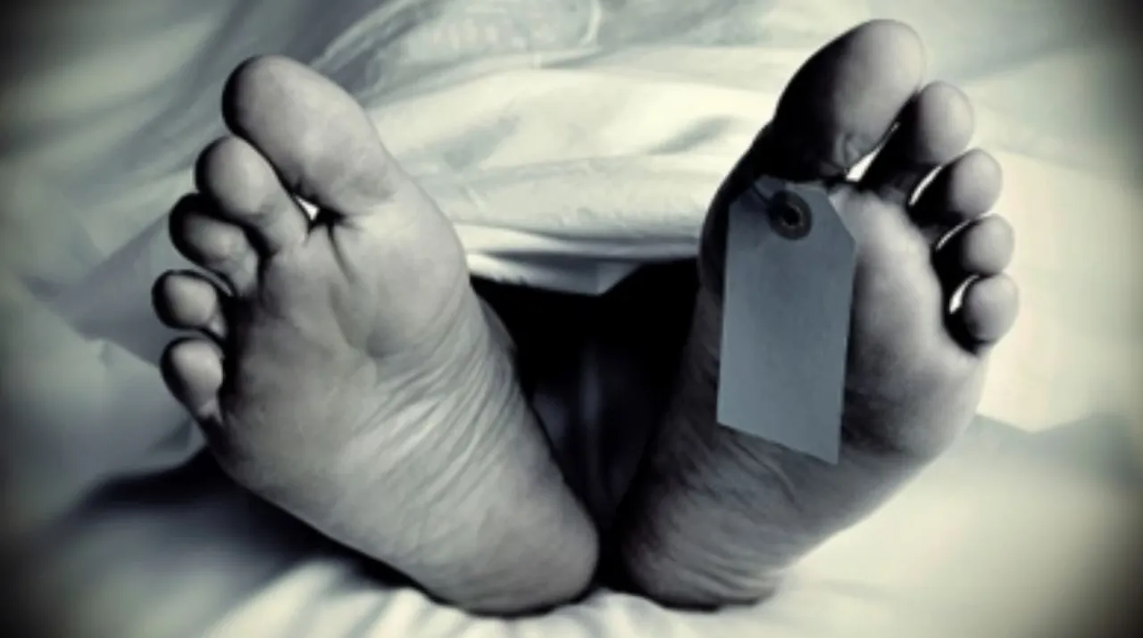  Woman trampled to death by elephant in Odisha's Sundargarh