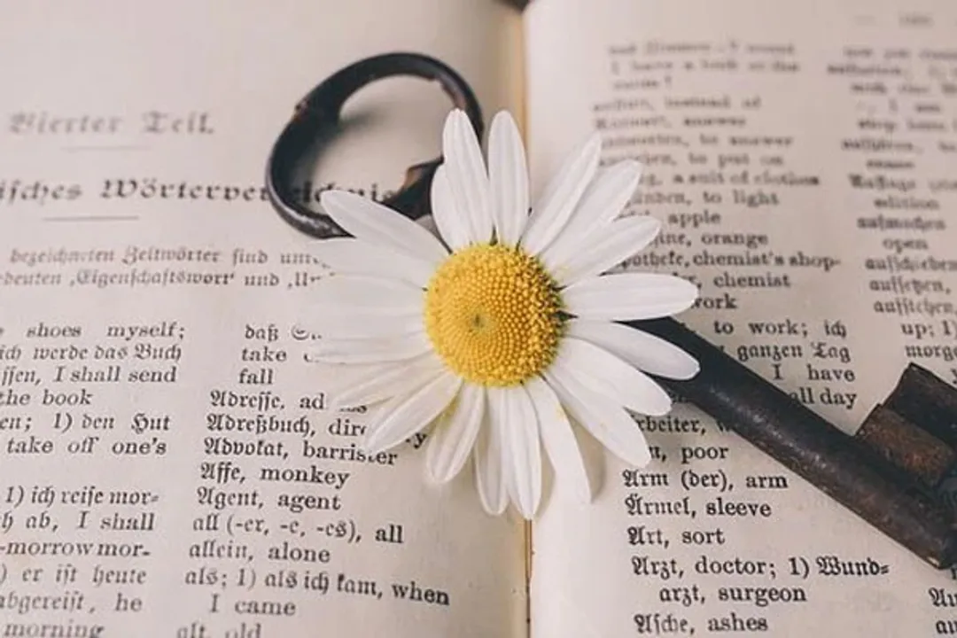  World Book Day 2022: History, Significance and all you need to know