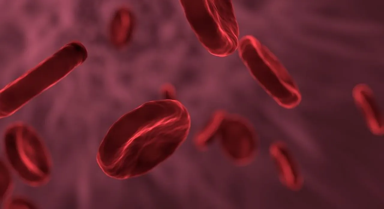  Thalassaemia Day: Know 2022 Theme, Symptoms of Thalassaemia