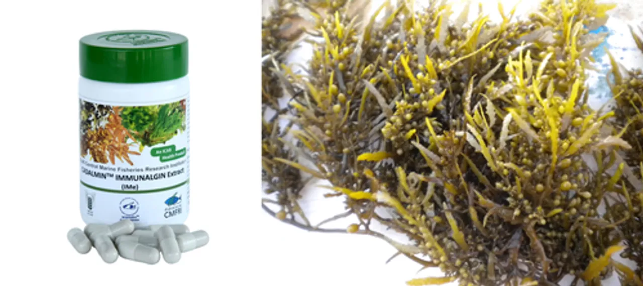  CMFRI develops antiviral product from seaweeds against delta variant of Covid