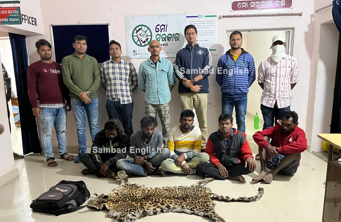 Joint team of Odisha-Chhattisgarh forest deptt seize leopard hide, arrest 6 traders