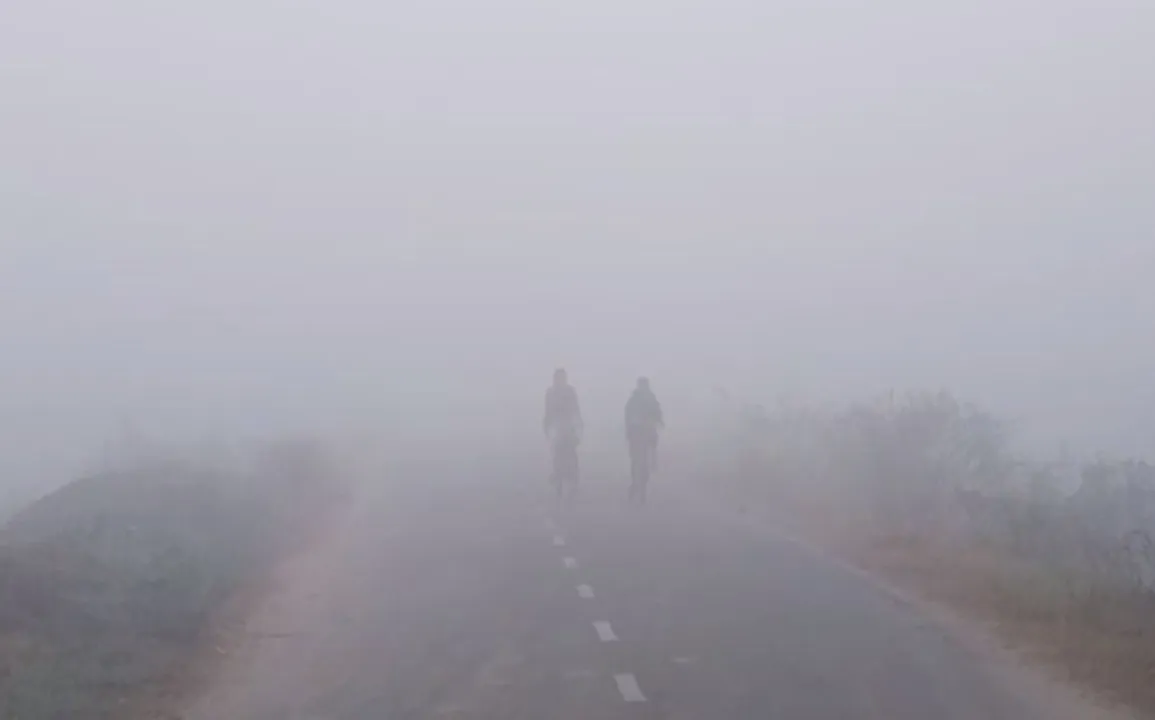 Dense fog very likely in these Odisha districts during next two days; IMD issues Yellow alert