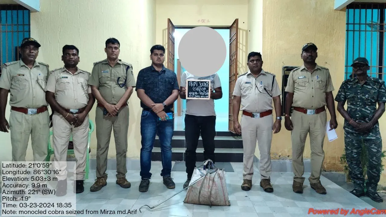  Odisha YouTuber and snake rescuer held for possessing live cobras
