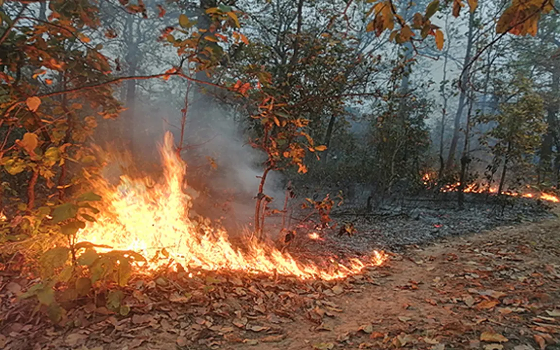  Surge in wildfire incidents across Odisha; 1,564 fire points detected in last 7 days
