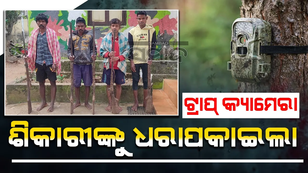  Poachers arrested from Similipal Tiger Reserve  Photograph: (Sambad ) 