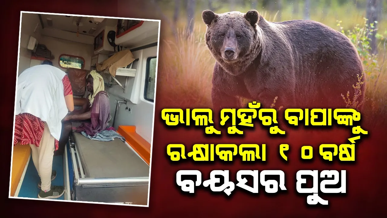  Bear attack in Chhattisgarh. Photograph: (sambad.in) 