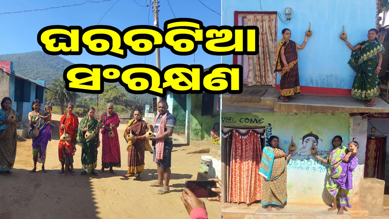  ଘରେ ଘରେ ଘରଚଟିଆ ସଂରକ୍ଷଣ Photograph: (sambad.in) 