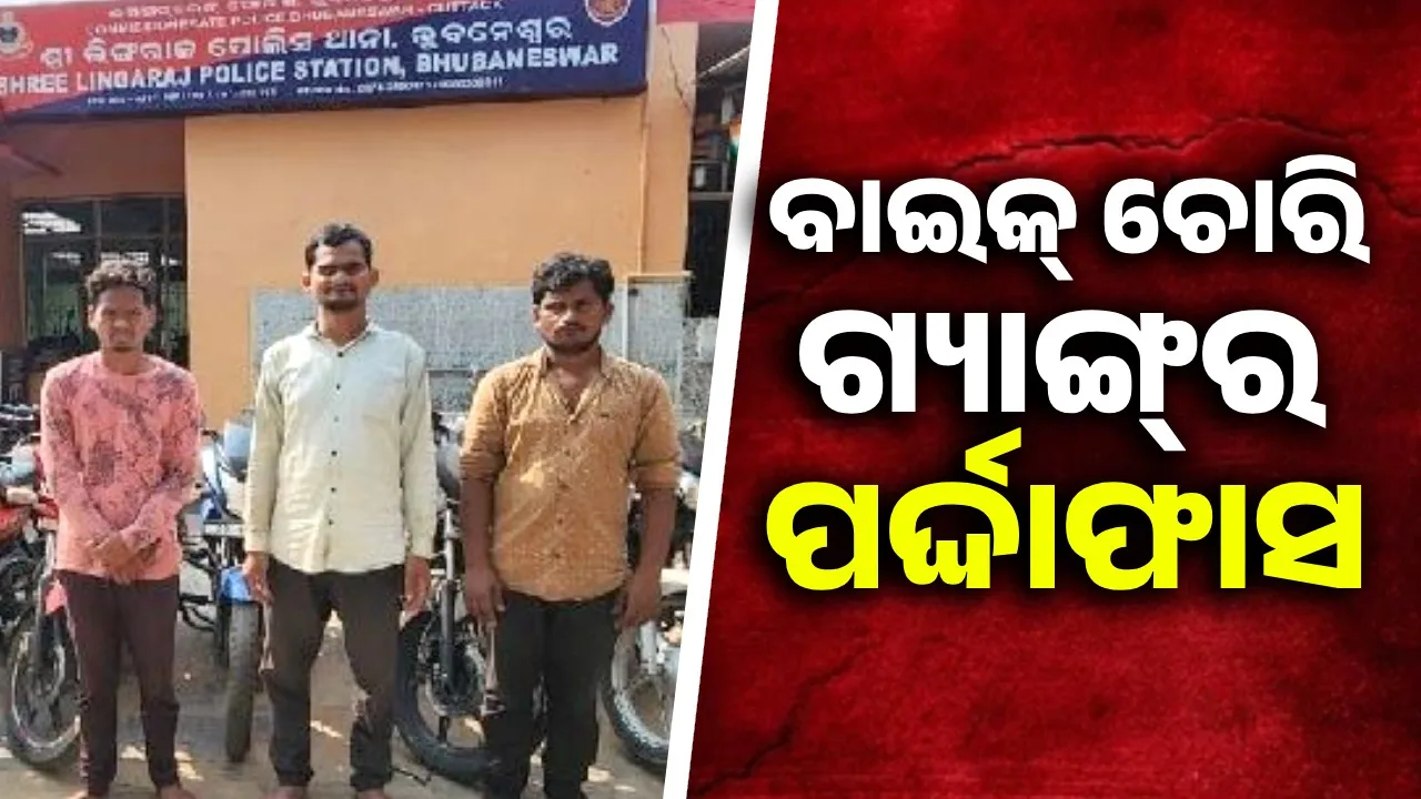  Police nabs bike theft gang: 12 wheels with duplicate keys seized Photograph: (sambad.in) 