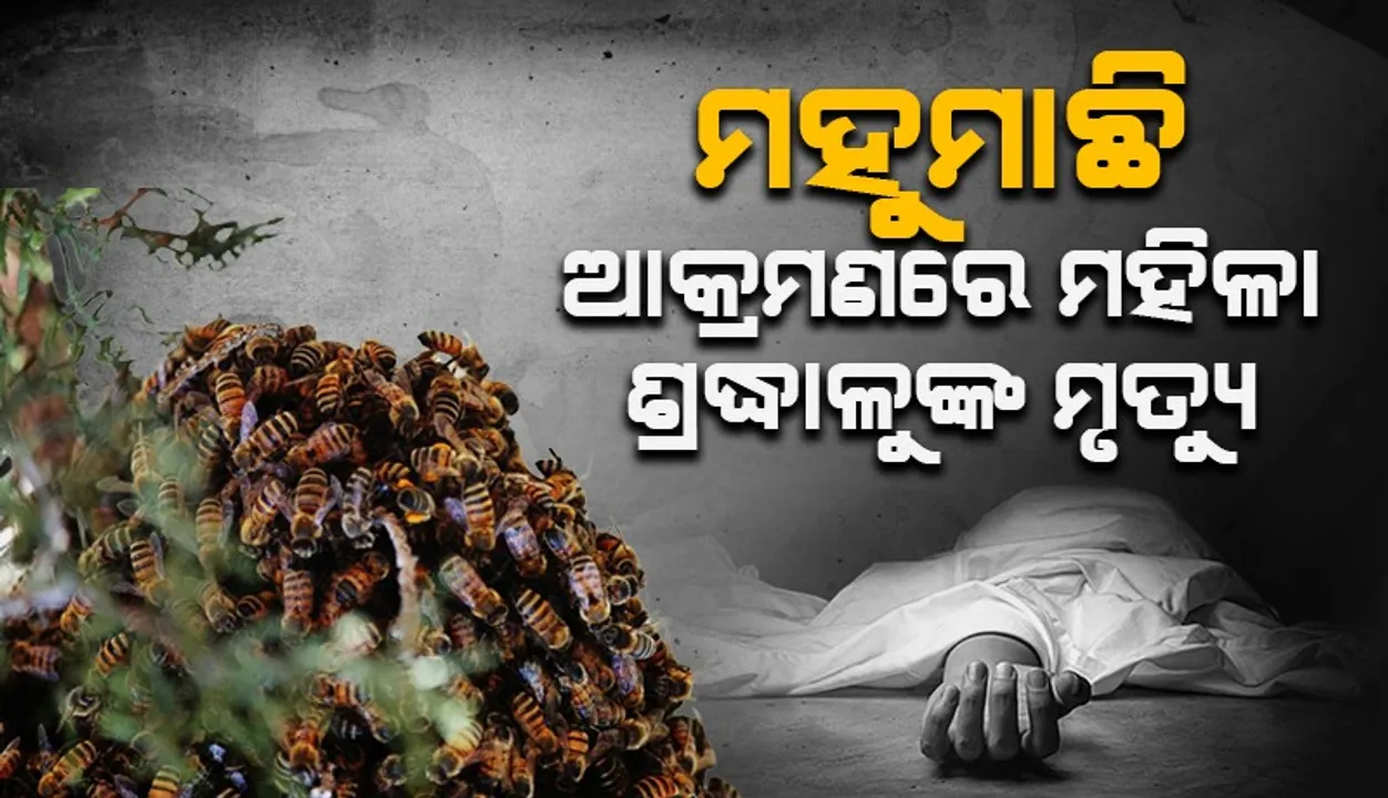  Honey bee attack Photograph: (Sambad.in ) 