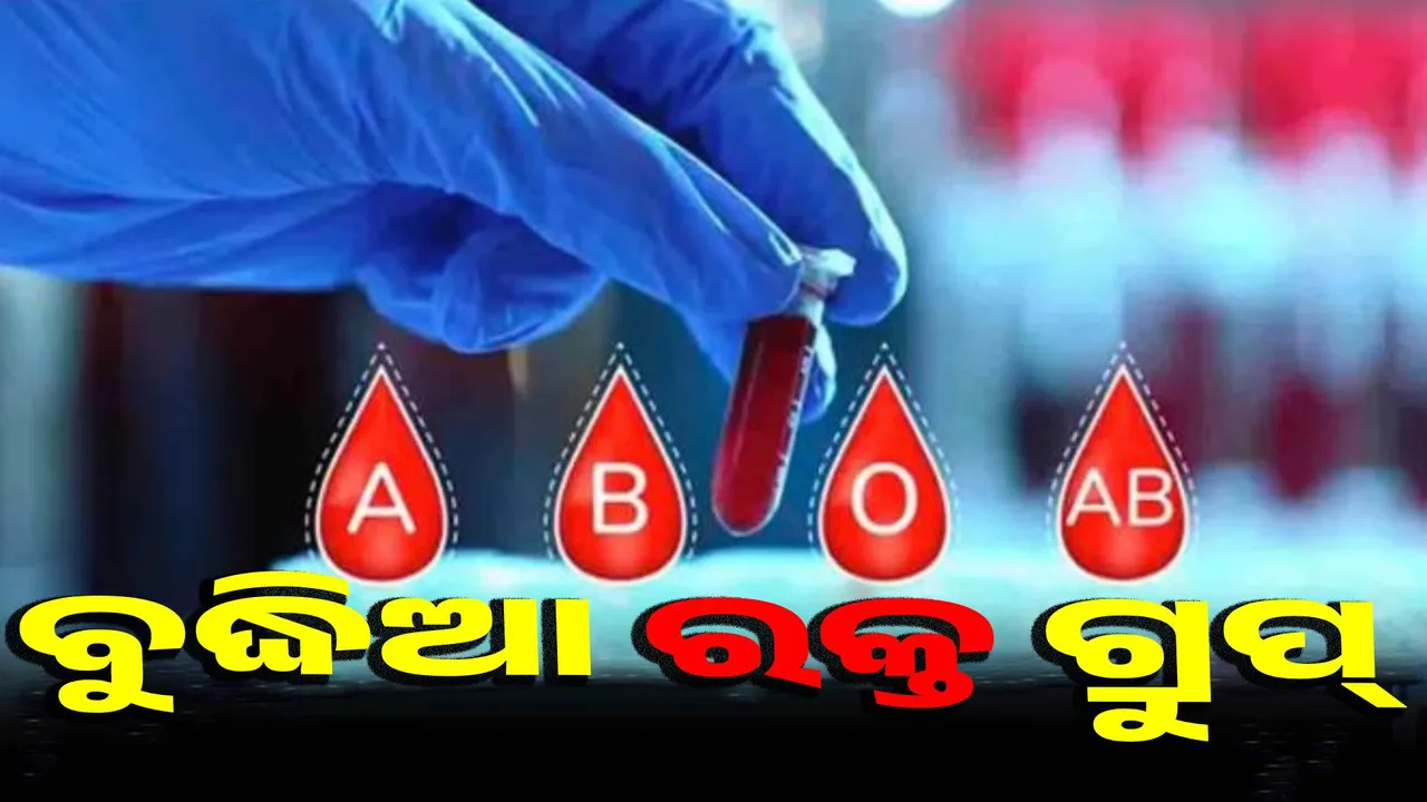  smartest people with these blood groups Photograph: (sambad.in) 
