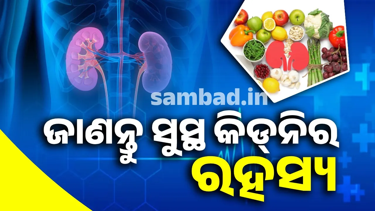   healthy  kidney Photograph: (sambad.in) 