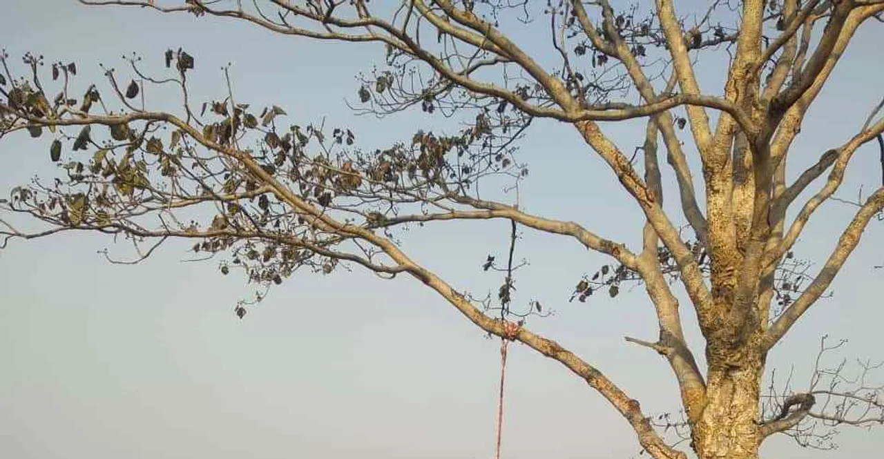  ବଣାଇରେ ଚାଞ୍ଚଲ୍ୟ: ଗଛରେ ଦଉଡ଼ି ଦେଇ ଯୁବକଙ୍କ ଆତ୍ମହତ୍ୟା, କାରଣ ଅସ୍ପଷ୍ଟ