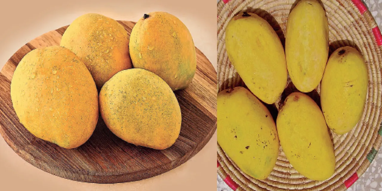  ଚଳନ୍ତିକା: ଏମିତି କାହିଁକି ଆମ୍ବର ନାଁ!
