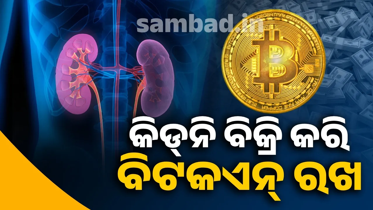  Sell ​​your kidney, keep Bitcoin: Who is going viral with this advice? Find out Photograph: (sambad.in) 
