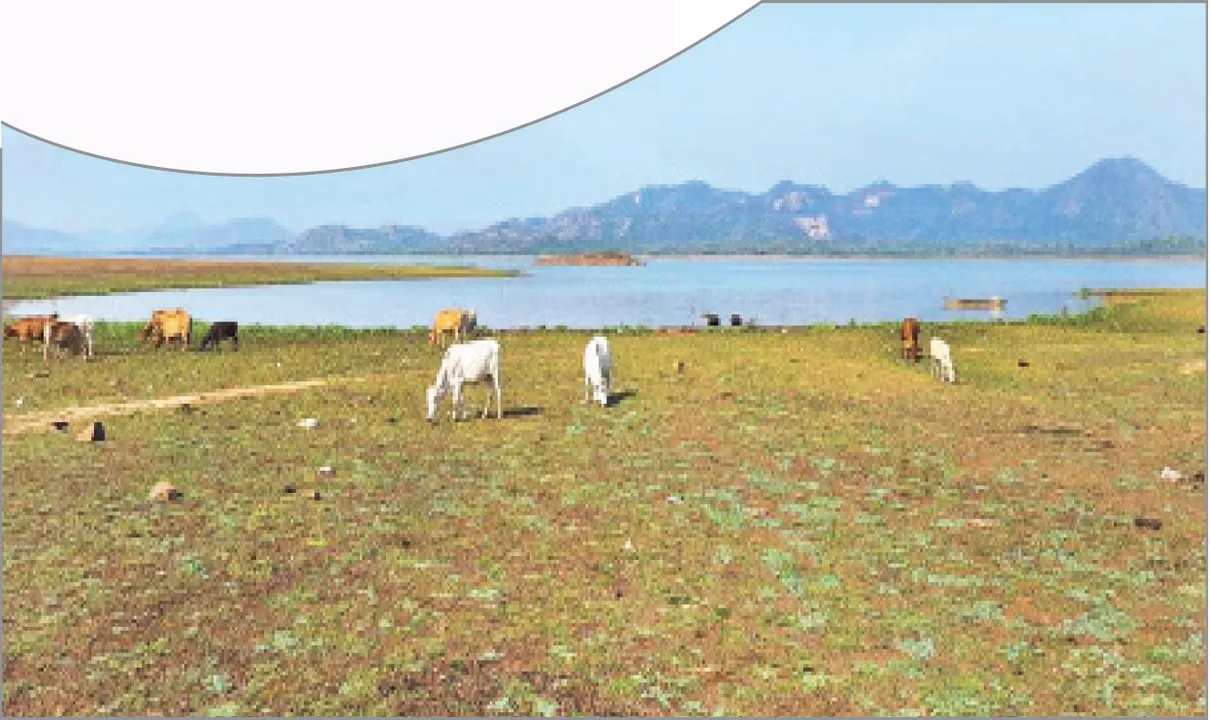  ଗ୍ରୀଷ୍ମ ପୂର୍ବରୁ ଶୁଖିଲାଣି ୪ ଜଳଭଣ୍ଡାର