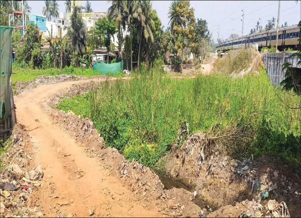  ପ୍ଲଟିଂ ପାଇଁ ମୂଷାନଈର ସ୍ରୋତ ଅବରୋଧ: ନଈ ଭିତରେ ପ୍ରଶସ୍ତ ରାସ୍ତା, ପ୍ରଶାସନର ନାକ ତଳେ ଚାଲିଛି ବେଆଇନ କାର୍ଯ୍ୟ