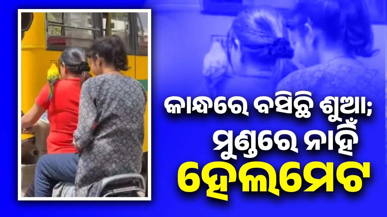  ହେଲମେଟ ନପିନ୍ଧି ପକ୍ଷୀକୁ କାନ୍ଧରେ ବସାଇ ସ୍କୁଟିରେ ବୁଲାଇବା ଯୁବତୀଙ୍କୁ ମହଙ୍ଗା ପଡ଼ିପାରେ