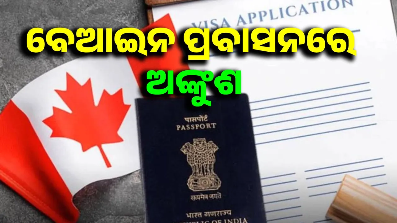  Canada reforms immigration rules, gives officials the power to cancel visas Photograph: (sambad.in) 