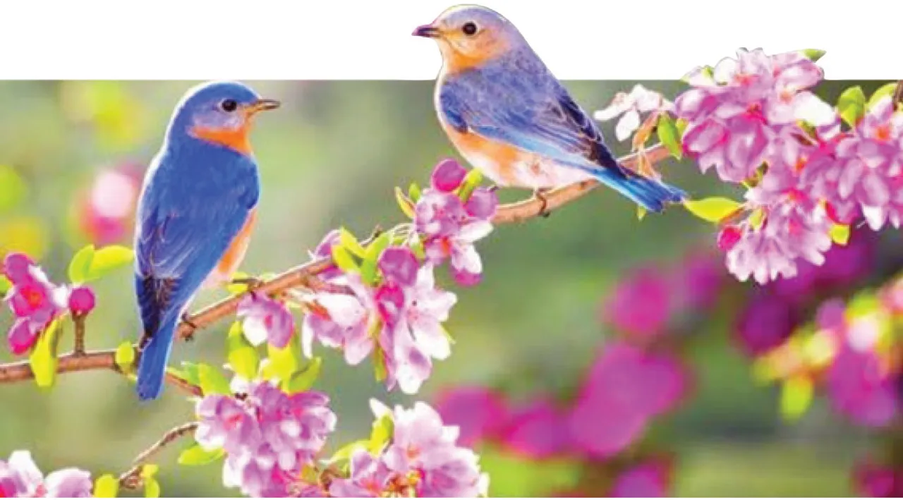  ସୁଭାଷିତ: ବସନ୍ତ ଶ୍ରେଷ୍ଠ ଋତୁ  ସର୍ବପ୍ରିୟ ଚାରୁତର ଋତୁ