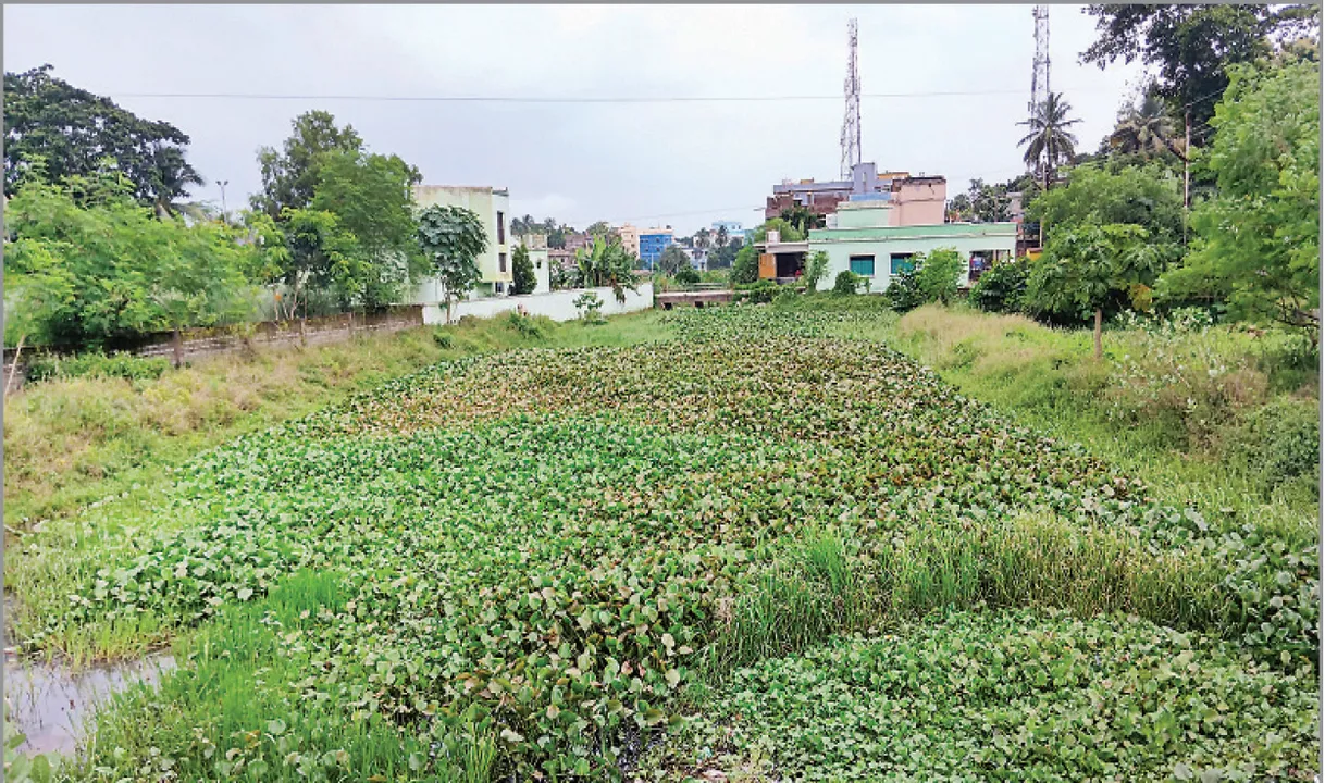  ମୃତ୍ୟୁ ଅପେକ୍ଷାରେ ‘ଅଳକା’: ବ୍ରିଟିସ୍‌ ଅମଳରେ ଚାଲୁଥିଲା ବୋଟ୍, ଖର୍ଚ୍ଚ ହୋଇଥିଲା ୧୩ କୋଟି