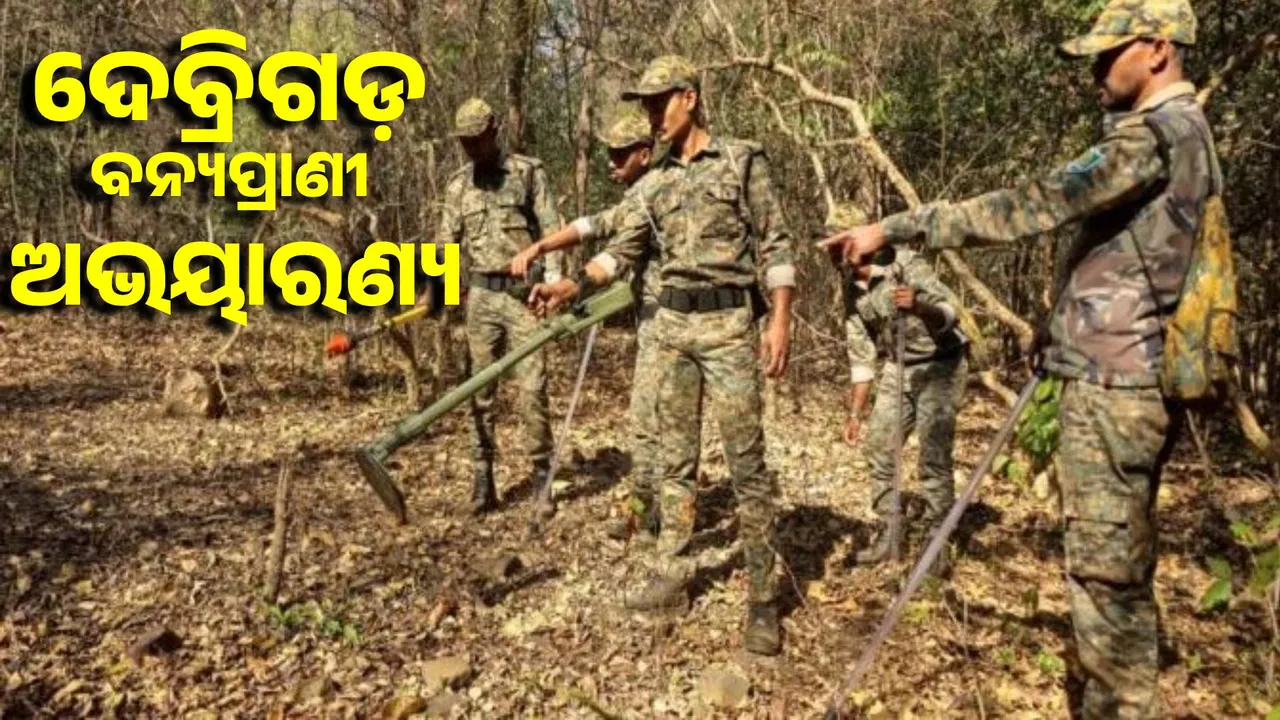  Debrigarh Wildlife Sanctuary declared 'shock free' and 'zero electrocution' zone for 100 km Photograph: (sambad.in) 