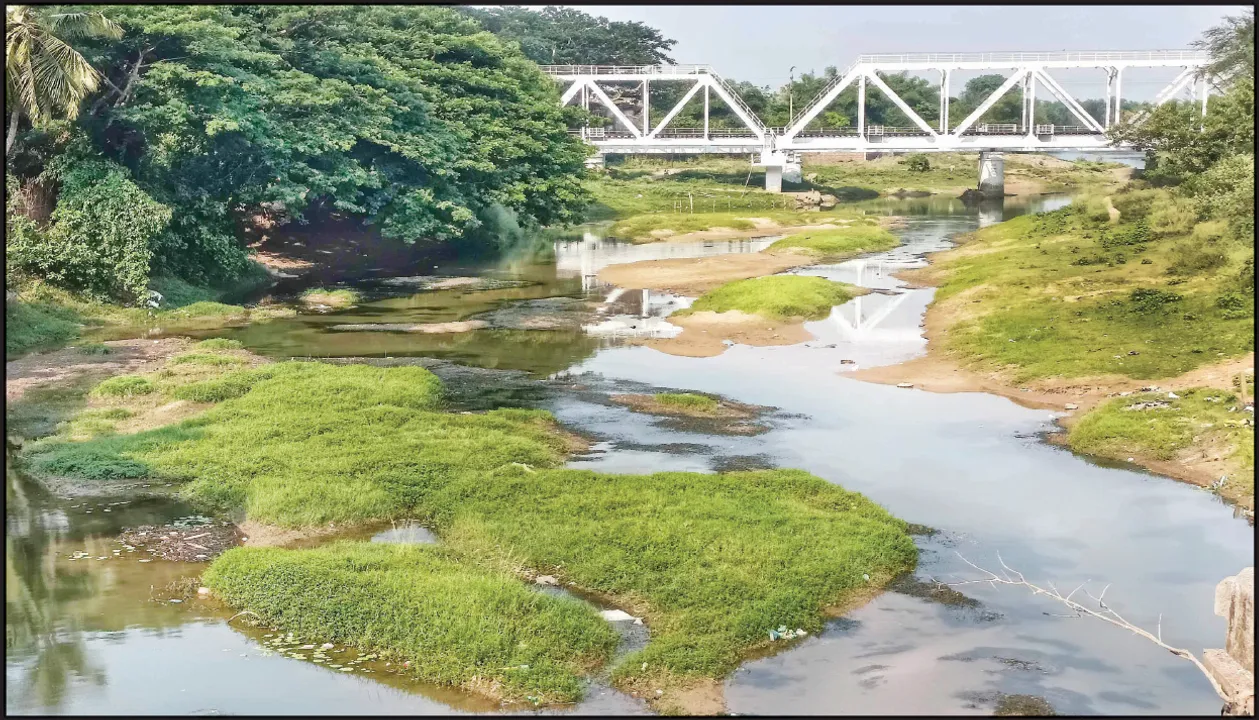  ମୃତ୍ୟୁମୁଖରେ ‘ଭାର୍ଗବୀ’: ପୋତି ହୋଇଗଲାଣି ନଦୀଶଯ୍ୟା, ପ୍ରଭାବିତ ହେଲାଣି ଶାଖା ନଈ