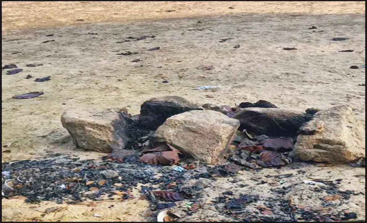  ଉଜାଡ଼ିଦେଲେ ପ୍ରଜନନ କେନ୍ଦ୍ର: ବିଲୁପ୍ତ ହେବେ ୬ ପ୍ରଜାତିର କଇଁଛ!