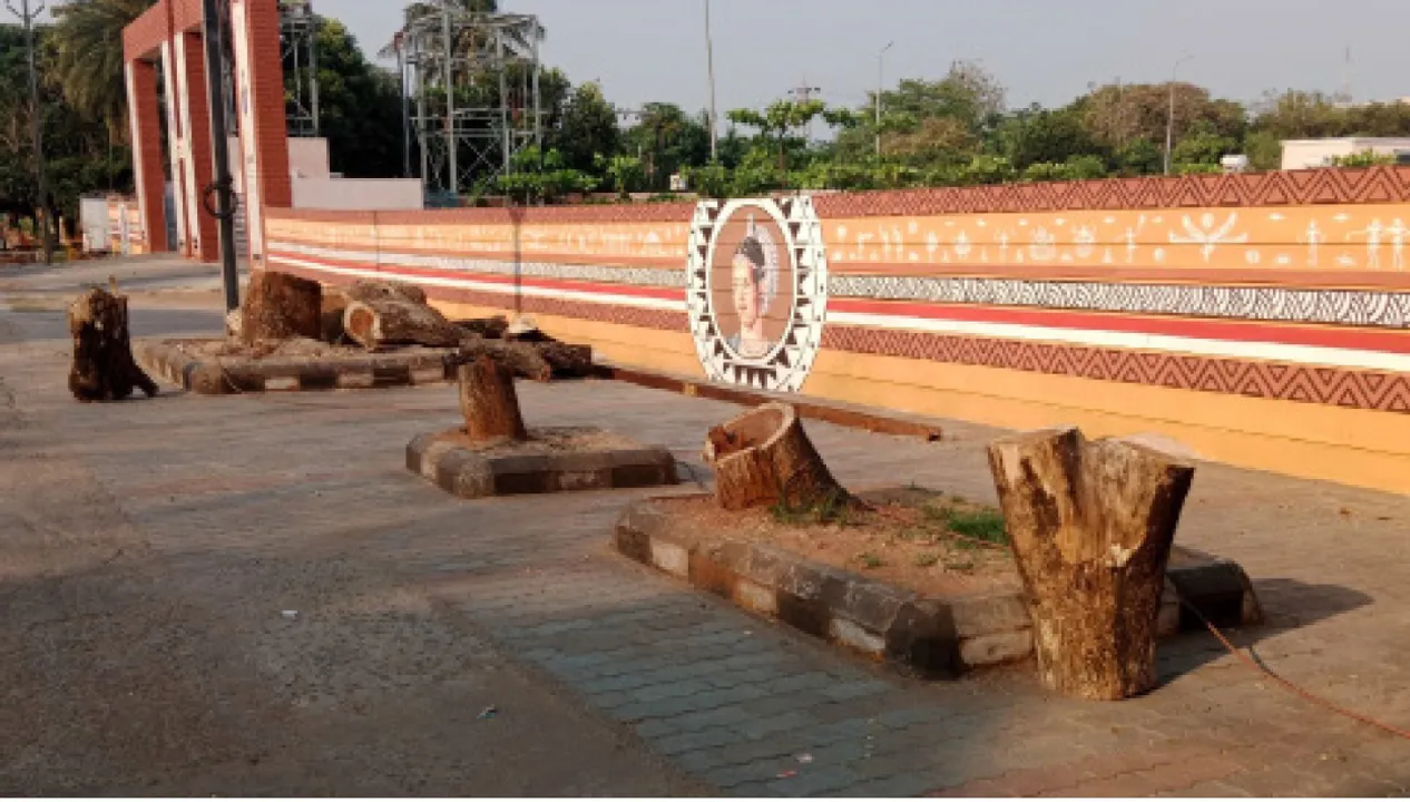  ରାସ୍ତାପାର୍ଶ୍ବରୁ ବେଧଡ଼କ ଗଛକଟା: ରେଳ ଷ୍ଟାଡିୟମ୍‌-ପ୍ରେସ୍‌ ଛକ ରାସ୍ତାପାର୍ଶ୍ବରୁ ଗଛ କାଟିଲେ