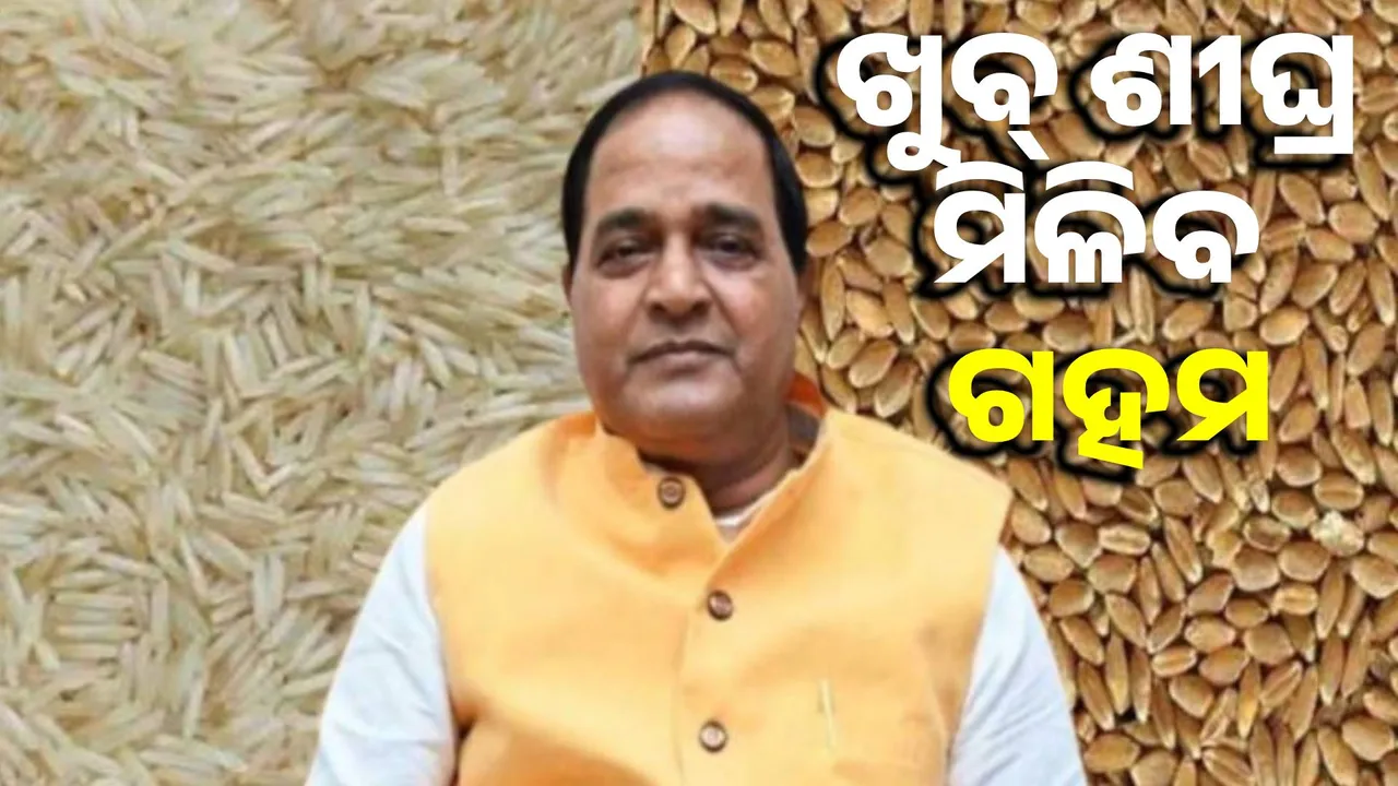   Wheat will be available in ration cards soon: Minister Photograph: (sambad.in) 