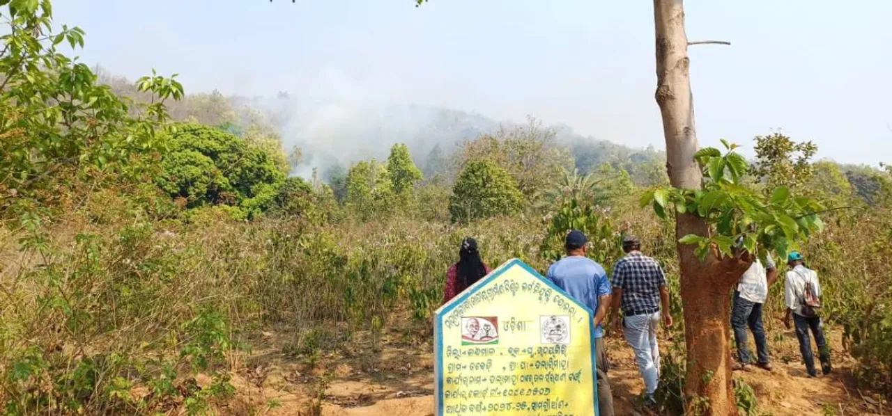  DFO joins firefighting program in Ghu.Udayagiri Banachal forest Photograph: (sambad.in) 