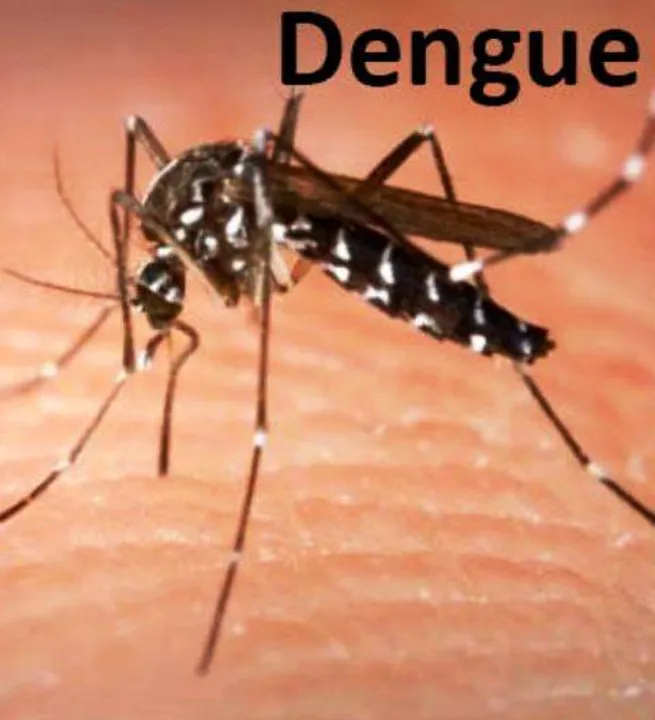  କଟକ: ଡେଙ୍ଗୁରେ ଆଉ ଜଣଙ୍କର ମୃତ୍ୟୁ, ଏସସିବିରେ ମୃତ୍ୟୁ ସଂଖ୍ୟା ୪ ଛୁଇଁଲା