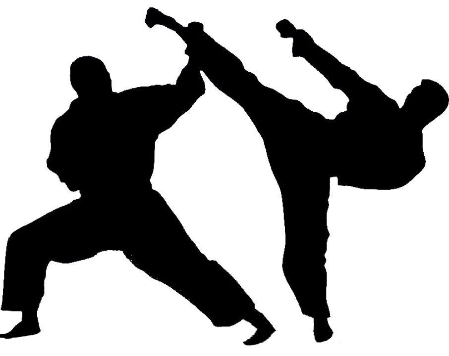  ବିଶ୍ୱ ବିଜୟୀ କରାଟେକା