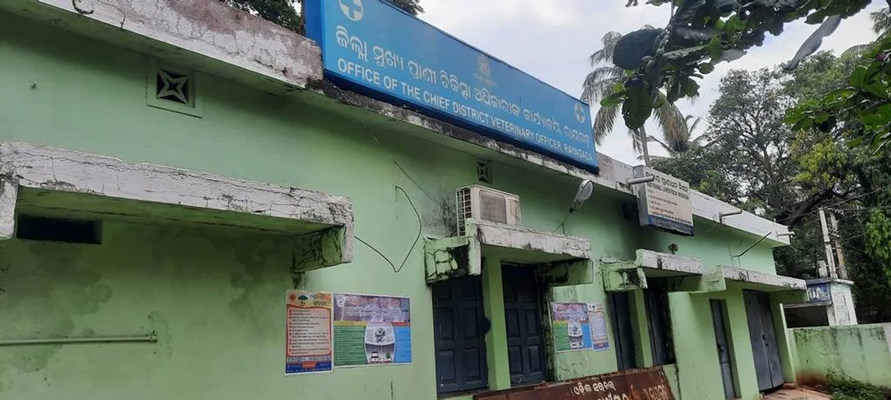  ରାୟଗଡ଼ା ଜିଲ୍ଲାରେ ପ୍ରାଣୀ ଚିକିତ୍ସା ପାଇଁ ଡାକ୍ତର ଅଭାବ, ୪ ବ୍ଲକରେ ଶୋୟନୀୟ ଅବସ୍ଥା