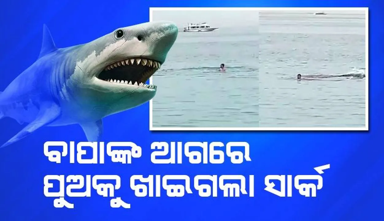  ସମୁଦ୍ର କୂଳରେ ବାପାଙ୍କ ଆଗରେ ପୁଅକୁ ଖାଇଗଲା ସାର୍କମାଛ