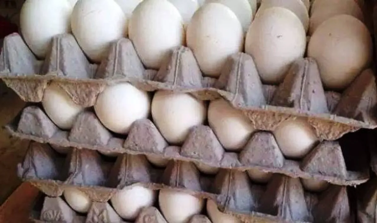  ରାଜ୍ୟରେ ଅଣ୍ଡାର ଅଭାବ ରହୁଛି: ମତ୍ସ୍ୟ ଓ ପ୍ରାଣୀ ସମ୍ପଦ ମନ୍ତ୍ରୀ ଗୋକୁଳାନନ୍ଦ ମଲ୍ଲିକ
