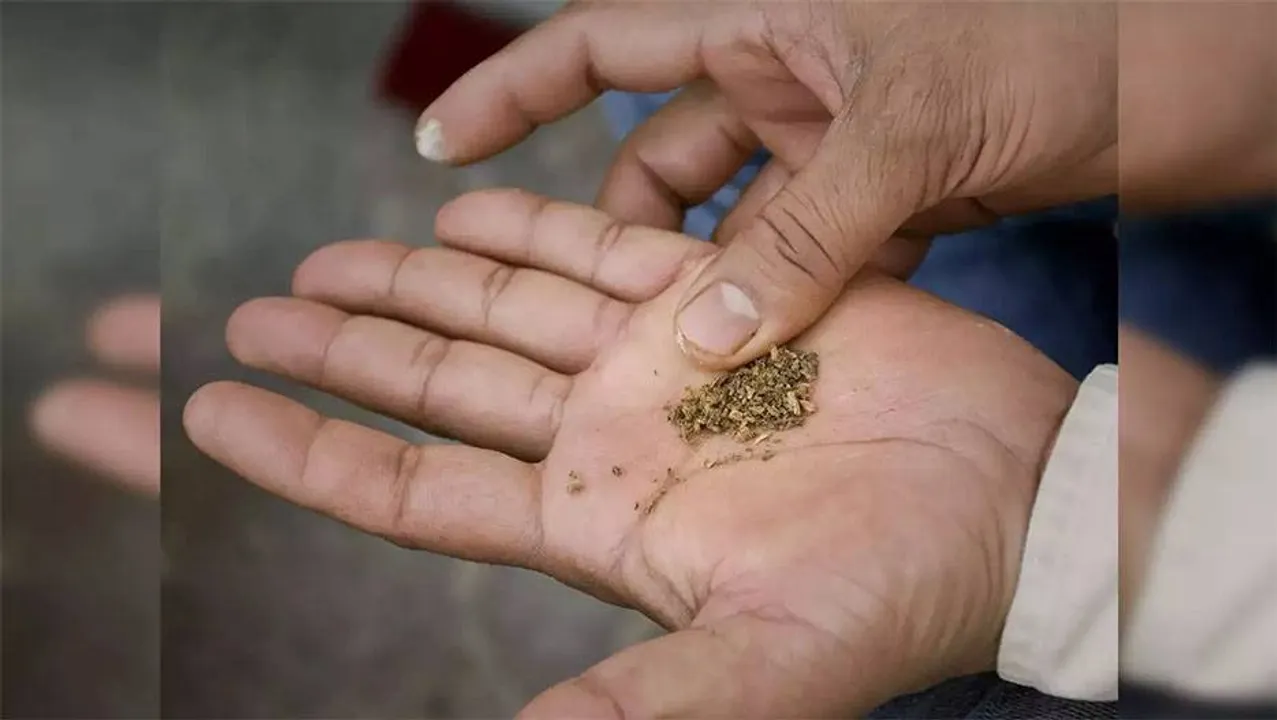  ତମାଖୁରୁ ୬୫୯୫ କୋଟି ରାଜସ୍ବ