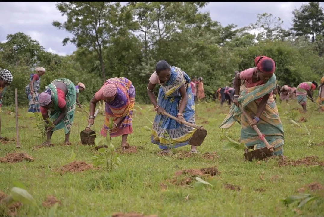 women grow trees