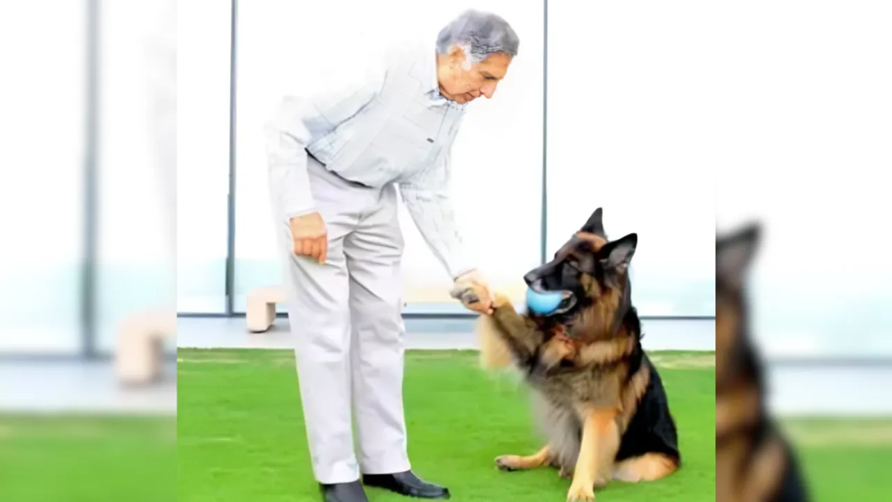 ratan tata tito