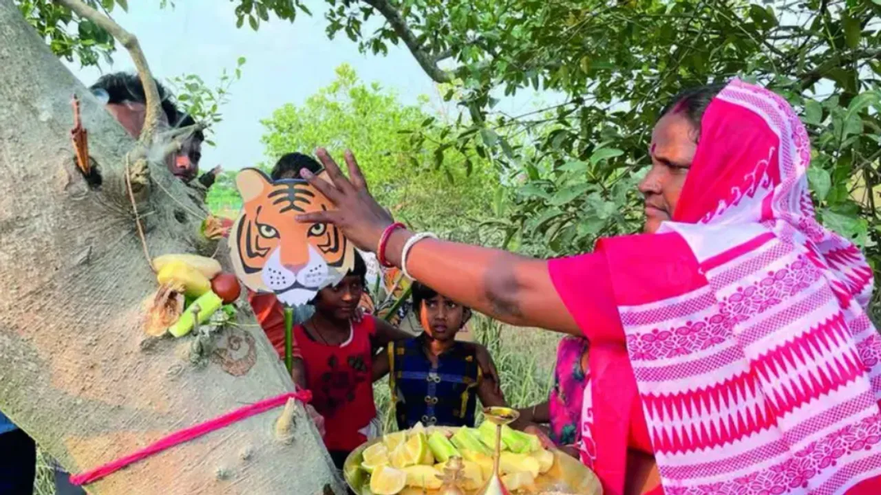 sunderbans 