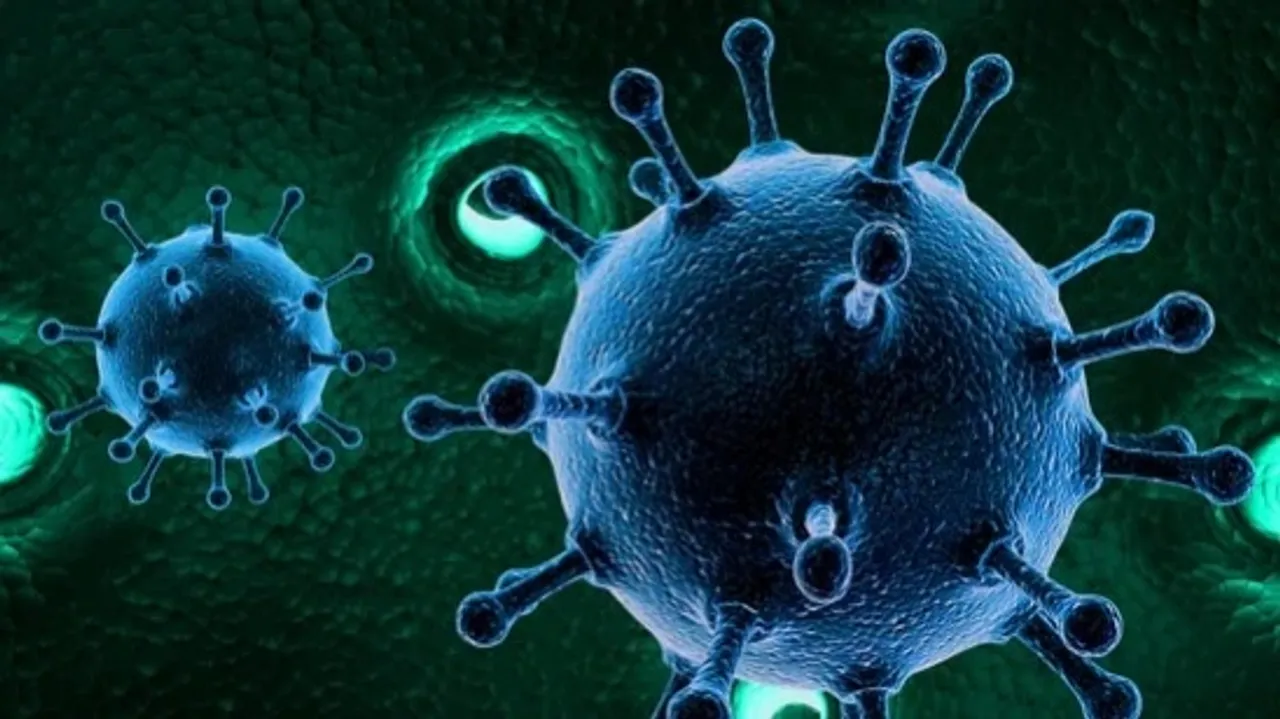 virus
