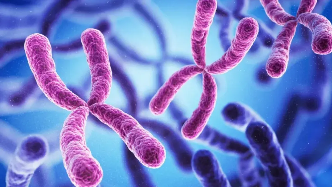 y chromosome decline