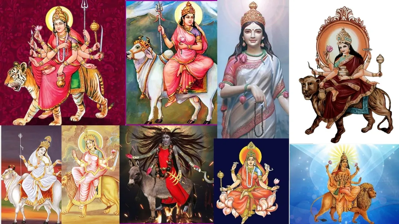 Nine forms of goddess durga.jpeg